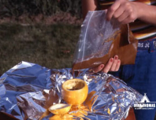 Orange Campfire Cupcakes – Bake Cake in a Real Orange!