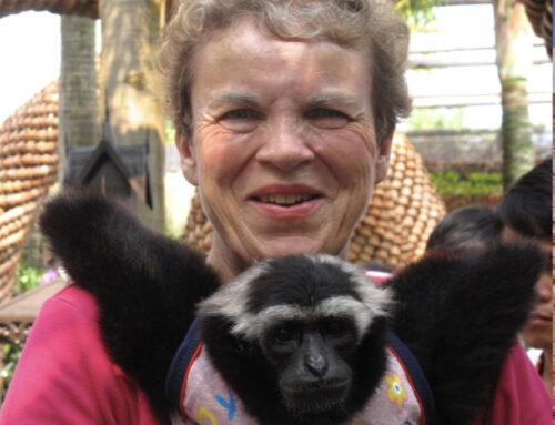Life on the Amazon