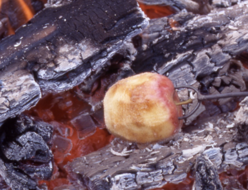 Campfire Apple on a Stick – A Simple, Sweet Outdoor Treat