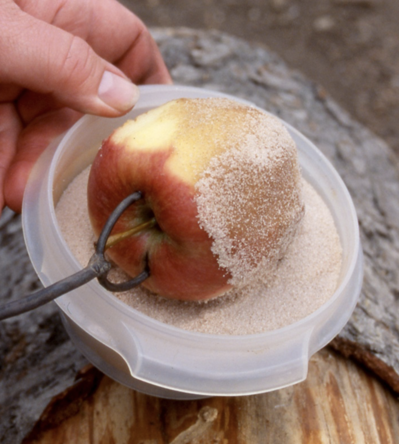 Apple pie on a stick is a delicious camping treat!