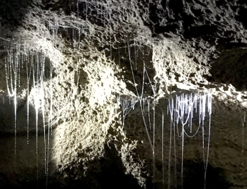 Waitomo, New Zealand