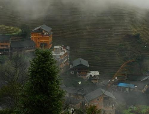 Exploring the Longji Rice Terraces: A Hidden Gem in Rural China