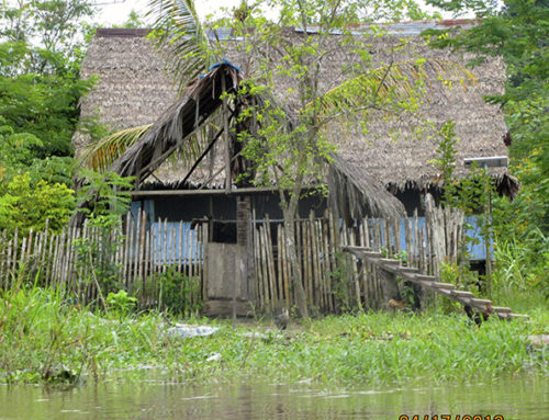 Life on the Amazon