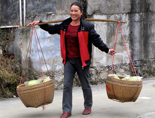 Exploring Country Life in China: A Journey Through Simplicity and Resilience