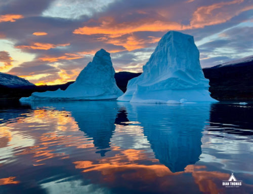 Greenland’s Enchanting Icebergs