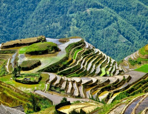 Exploring Longji: The Stunning Dragon’s Backbone Rice Terraces of China