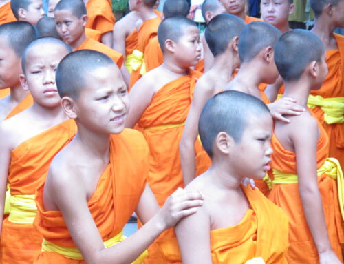 Young Monks in Thailand: Discipline, Devotion, and the Beauty of Tradition