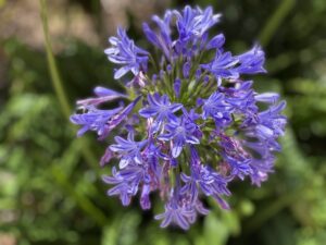 IMG_2969