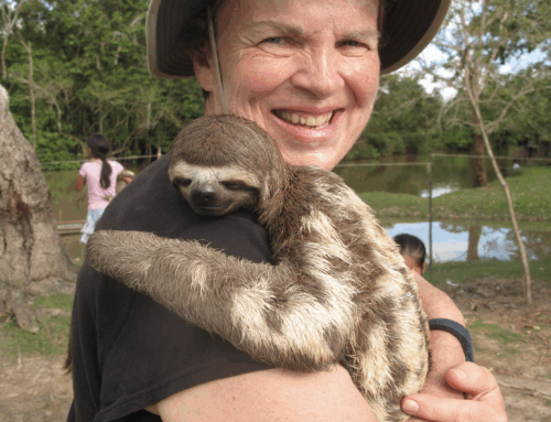 A Hug from the Heart of the Amazon: A Journey of Connection and Wonder