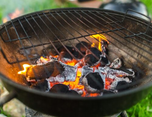 The Beginner’s Guide to Grilling: Choosing the Right Grill for Every Meal