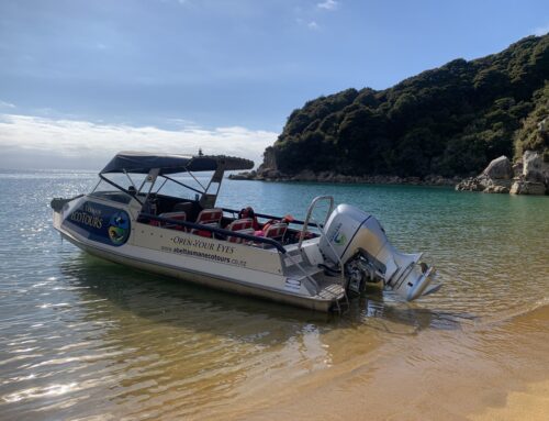 Abel Tasman National Park