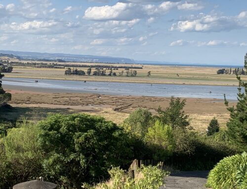 Crossing The Northern Mountains