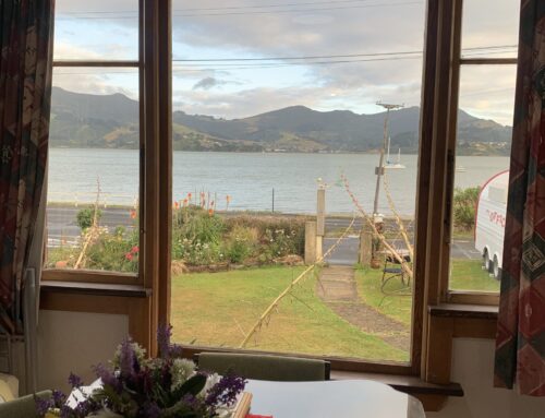 Dunedin to Christchurch