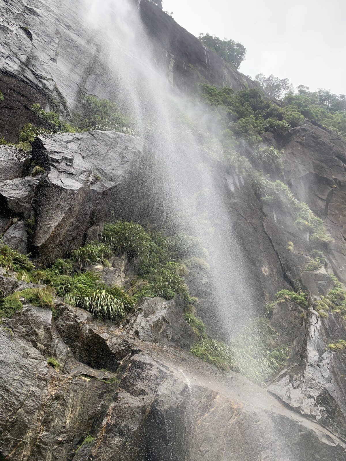 Te Anau and Milford Sound - Dian Thomas