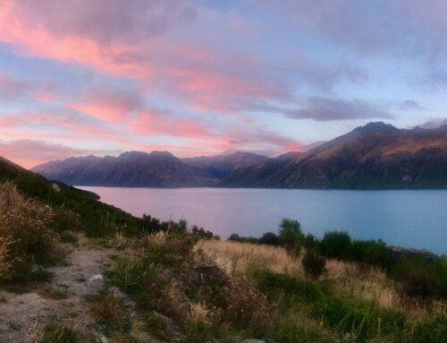 Te Anau and Milford Sound